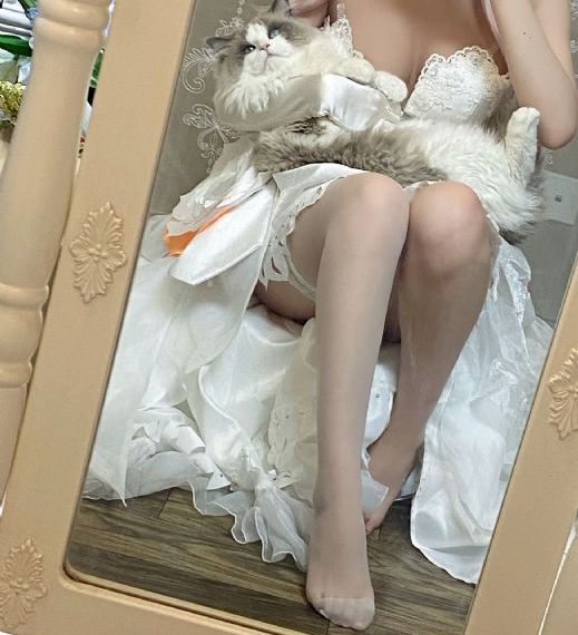 三级网站在线免费观看